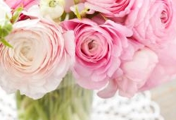 Top picks for wedding flowers 